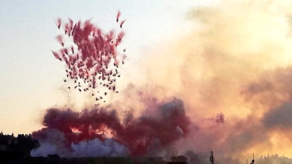 Cai Guo-Qiang, Flora Comedia - Uffizi, FIRENZE