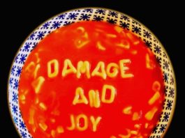 Damage and Joy, the JMC (album)