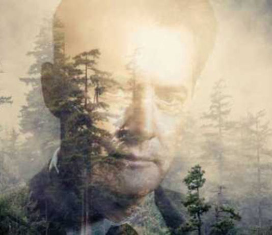 Twin Peaks, locandina 2017