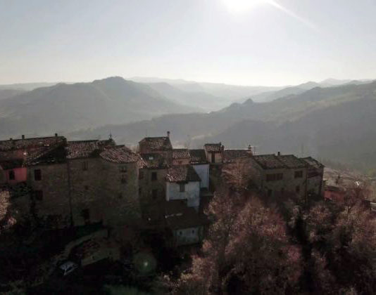 SArsina (FC), Romagna, Panorama