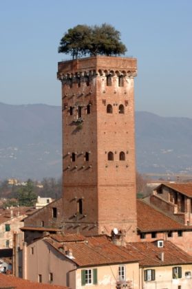 Lucca, Torre del Guinigi