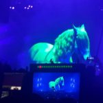 depeche-mode-bologna-cavallo-verde-blu