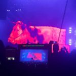 depeche-mode-bologna-mucca