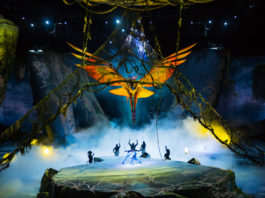 TORUK - L'ultimo Volo, Le Cirque du Soleil