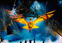 TORUK - Il Primo Volo, Le Cirque du Soleil