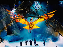 TORUK - Il Primo Volo, Le Cirque du Soleil