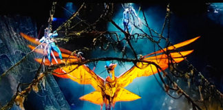 TORUK - Il Primo Volo, Le Cirque du Soleil