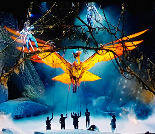 TORUK - Il Primo Volo, Le Cirque du Soleil