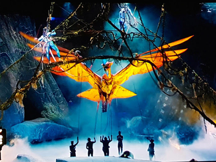 TORUK - Il Primo Volo, Le Cirque du Soleil