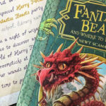 Fantastic-Beasts-and-where-to-find-them-720×360