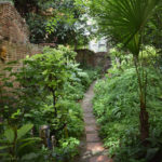 Di Verde in Verde - Bologna : giardini aperti dalla città alla collina