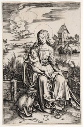 Durer e il Rinascimento tra Germania e Italia a Palazzo Reale