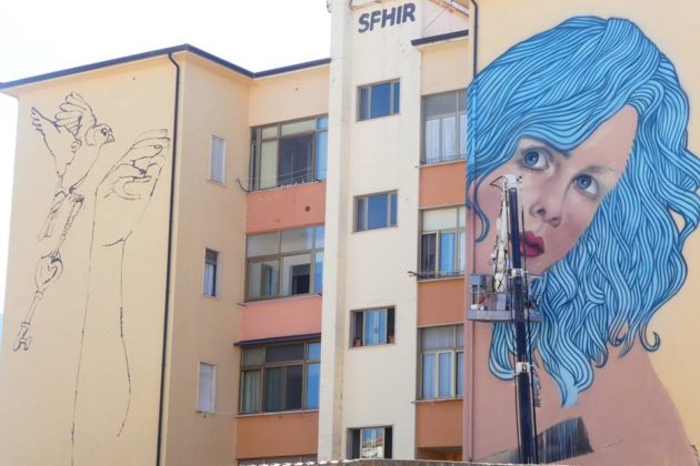 OSA, Operazione Street Art a Diamante, 2018 - Sfhir