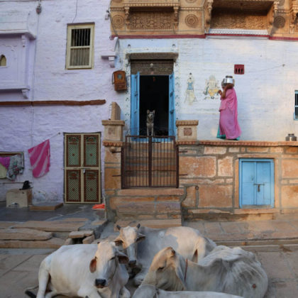 India, Street View