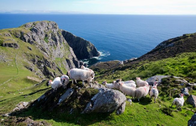 irlanda cliffs