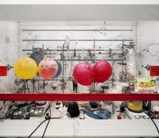 Thomas Struth mast bologna - Nature & Politics