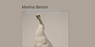 All the Ghosts are Gone, Martina Bertoni. Falk Records (8 gen 2020, ALBUM COVER)