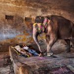 5_Steve-McCurry_elephant