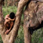 8_Steve_McCurry_kid_elephant_1280